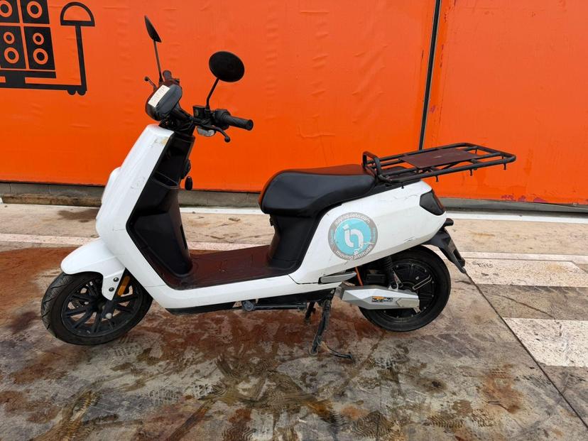 Urban D2 2022